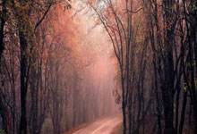 海星体育：马龙：全运会将是收官之战 未来继续为北京做贡献.