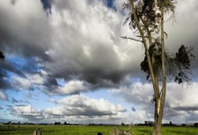 [棋牌]一力辽卫冕棋圣后专访：不再在意所谓的魔咒了.