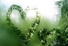 海星体育：足球报谈梅州vs海港：去年赢球因误判变输球 没人看好自己要争气.